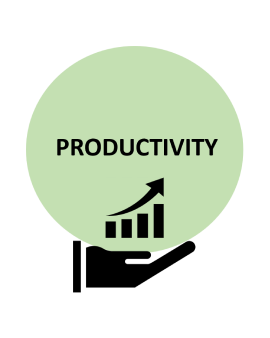 Productivity